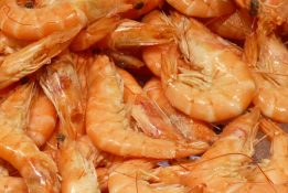 Krustentiere als Omega 3 Lieferanten Haufen von gekochten, orangefarbigen Garnelen mit Schale.